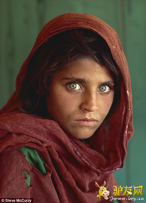 սSharbat Gula ʷٷ Steve McCurry1985꣩