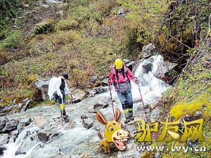 丛林穿行